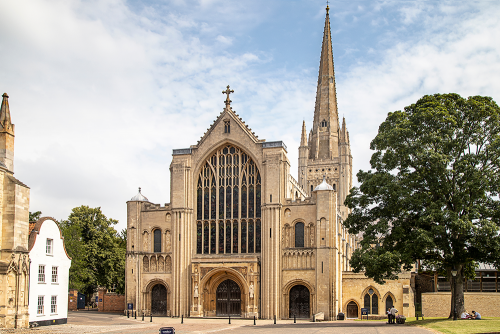 Norwich Cathedral sits next to a large tree. The sky is blue and cloudy.